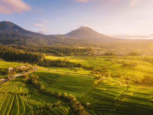 Jatiluwih Raih Pengakuan Global “Elite Green Destinations Top 100 Stories 2025”